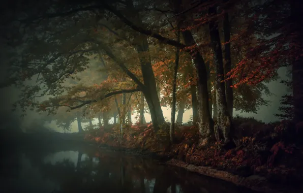 Picture autumn, fog, river