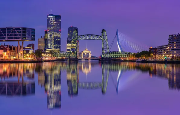 Picture night, bridge, lights, home, Netherlands, Rotterdam