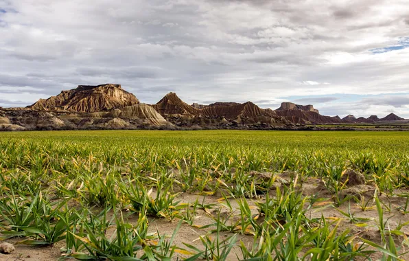 Field, the sky, landscape, mountains