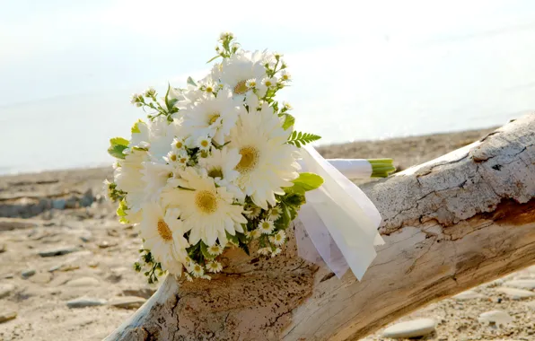 Picture sand, sea, beach, the sun, chamomile, bouquet, snag, white