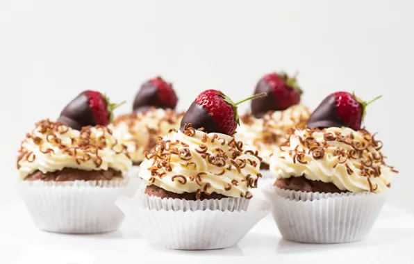 Chocolate, strawberry, cream, cupcakes, chocolate
