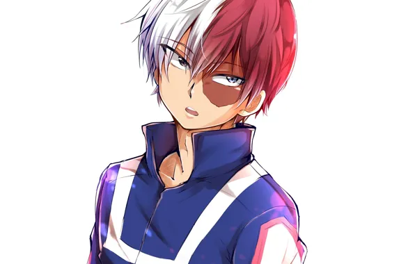 Top 30 Best Shoto Todoroki 4k Wallpapers [ Ultra 4k ]