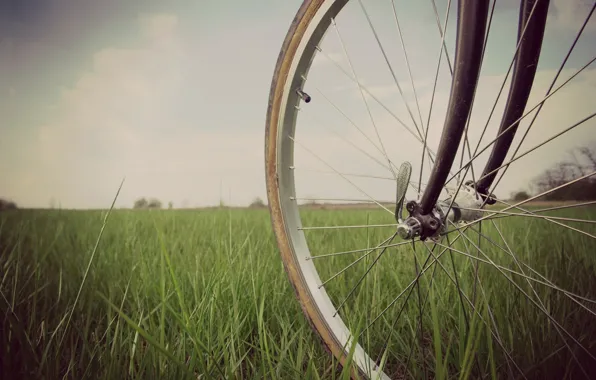 Picture greens, grass, nature, bike, background, mood, wheel, widescreen