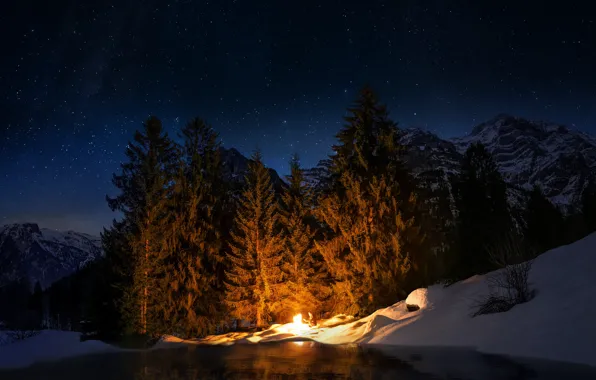 Winter, forest, the sky, stars, light, snow, mountains, night