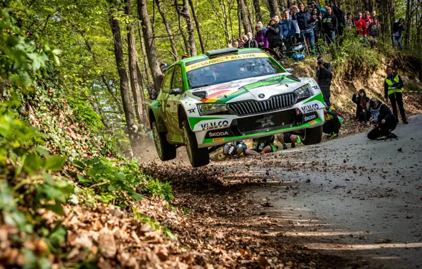 Picture Car, Rally, Rally, Skoda, Skoda, 2021, Croatia Rally