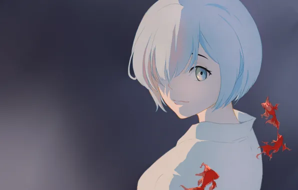 Fish, background, From scratch, REM, Re Zero Kara Hajime Chip Isek Or Seikatsu