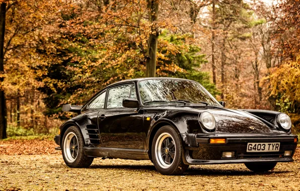911, Porsche, Porsche, Coupe, Turbo, 1989, Limited Edition, 930