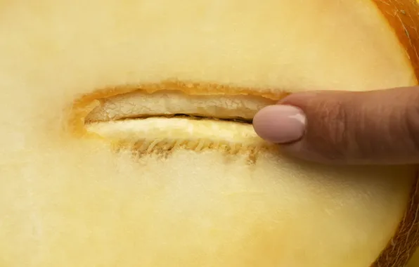 Macro, finger, nail, touch, manicure, melon, half, cut