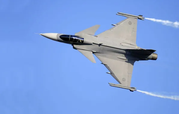 You can, Gripen, JAS 39, SAAB Avionics, Swedish multi-role fighter of the fourth generation