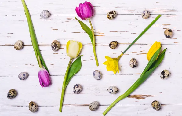 Flowers, eggs, spring, colorful, Easter, happy, flowers, tulips