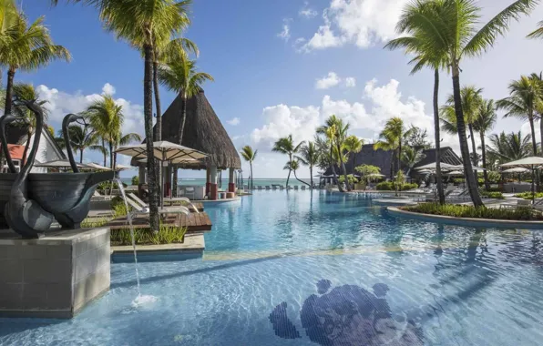 Palm trees, the ocean, pool, resort, Mauritius, Maurícius, Ambre Resort & Spa Hotel
