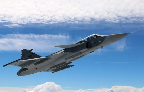 Flight, fighter, bomber, multipurpose, Gripen