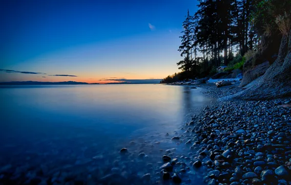 Picture the sky, trees, sunset, lake, stones, shore