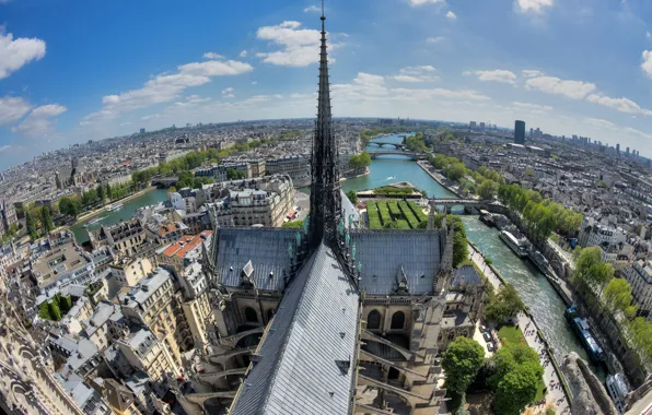 River, France, Paris, island, panorama, Cathedral, hay, Notre Dame de Paris