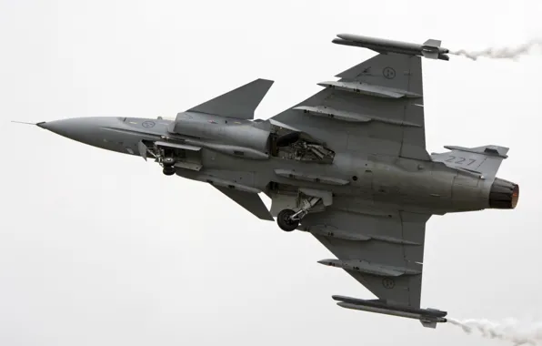 Swedish Air Force, The air force, You can JAS39C Gripen