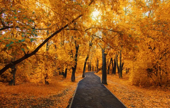 Park, walking, Golden autumn, Temirtau