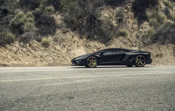 Lamborghini, Black, Side, Tuning, LP700-4, Aventador, Mansory, Supercar