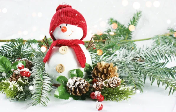 Picture berries, new year, snowman, bumps, fir-tree branches