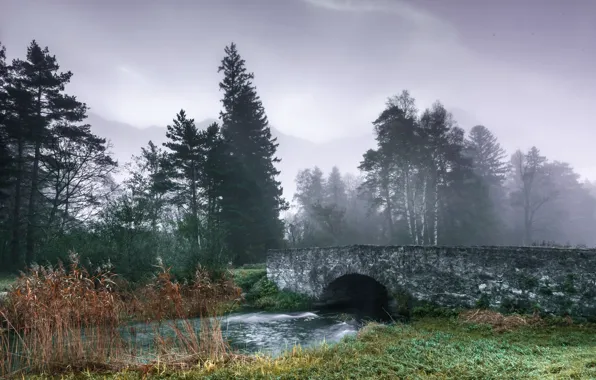 Picture bridge, fog, river, reed