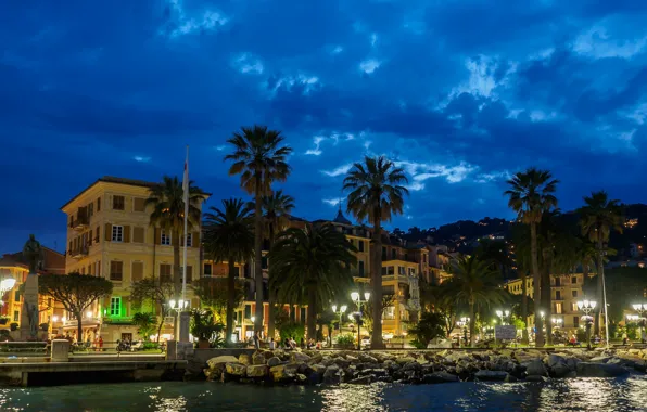 Night, lights, palm trees, home, Italy, promenade, Santa Margherita Ligure