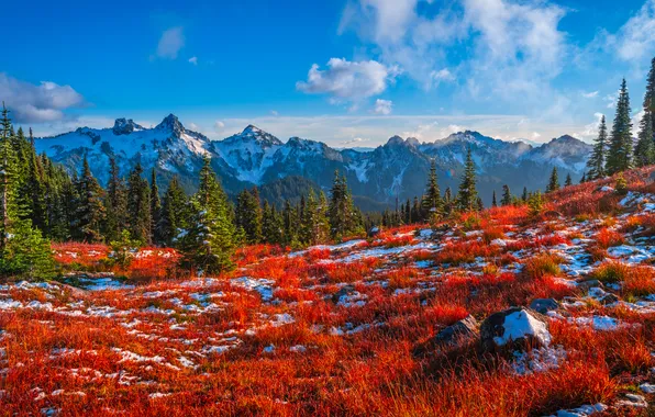 Picture autumn, landscape, mountains, USA