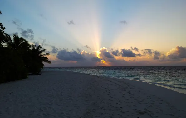 Picture tropics, The Maldives, sunset, Ministers Ministers