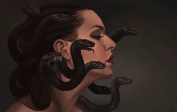 Snakes, art, profile, gargona, Medusa