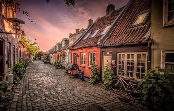 Street, home, Denmark, bikes, Aarhus