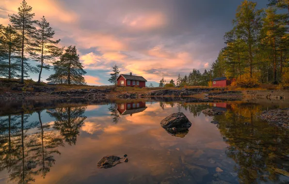 Forest, the sky, clouds, light, lake, reflection, stones, shore