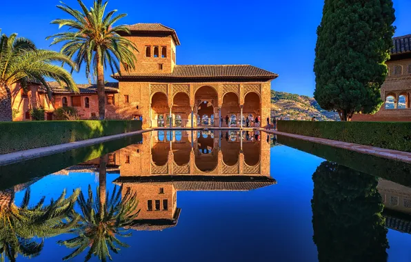 Picture reflection, palm trees, tree, pool, Spain, Palace, Spain, Granada