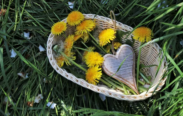 Dandelion, basket, Flowers, heart