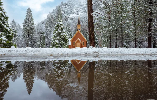 Winter, road, forest, reflection, puddle, CA, chapel, California