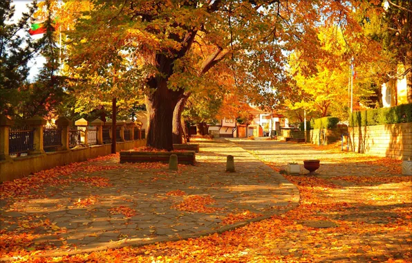 Picture Autumn, Trees, Street, Fall, Foliage, Autumn, Street, Colors