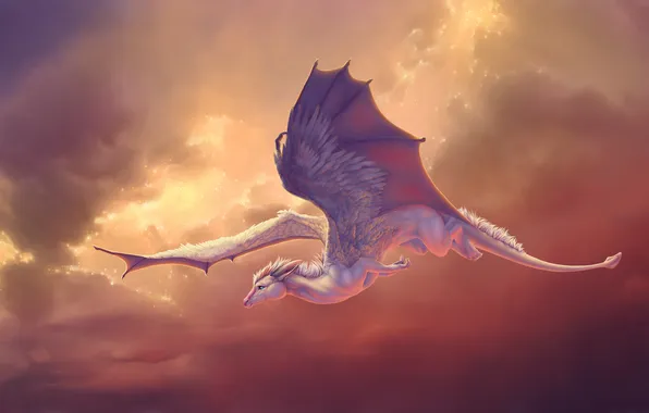 The sky, clouds, flight, wings, Dragon, tail