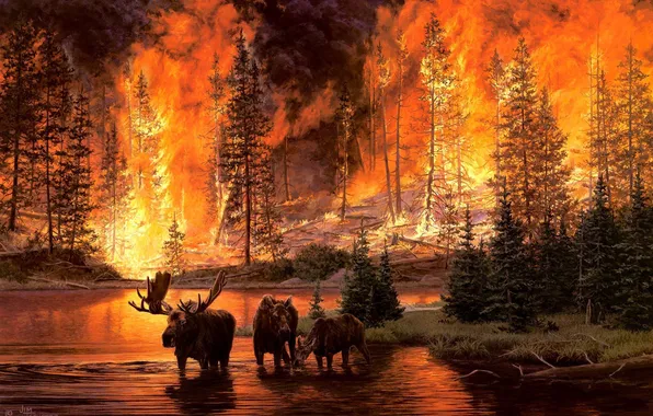 Picture forest, river, fire, fire, art, moose, a fire in the woods, Jim Tschetter