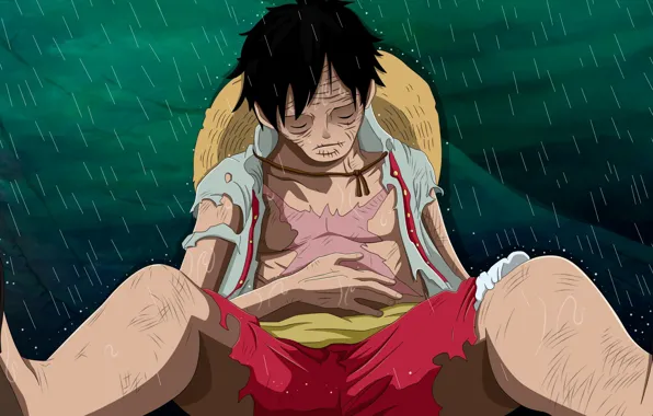 Game, One Piece, pirate, anime, man, boy, captain, manga