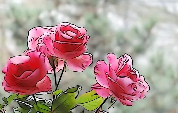 Line, flowers, paint, roses, petals