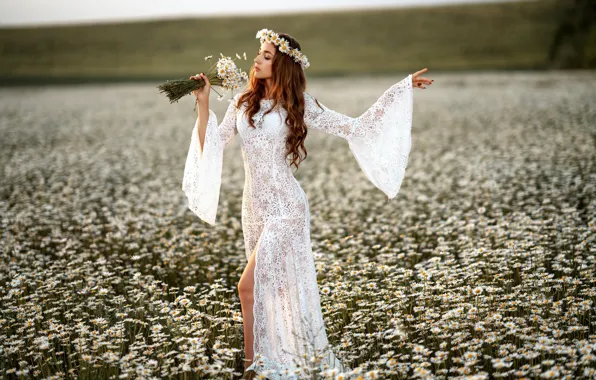 Picture summer, girl, flowers, pose, mood, chamomile, figure, dress