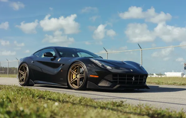 Picture Ferrari, F12, MV2, ADV05