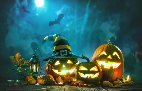 Night, pumpkin, halloween
