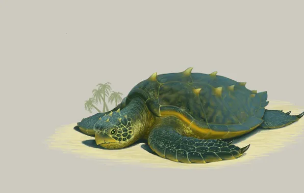 Beach, turtle, art, Illustrator, Grand Sea Turtle, Justen Moore