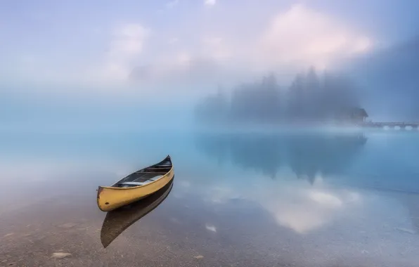 Water, fog, boat, silence, peace
