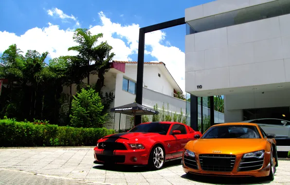 Trees, reflection, home, orange, white, audi r8, lamborghini, red