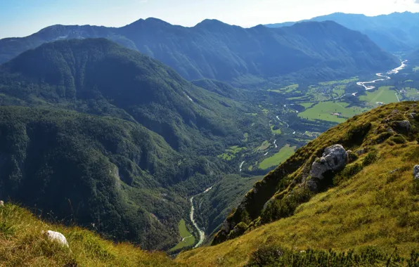 Field, trees, mountains, river, height, valley, Sunny, the view from the top