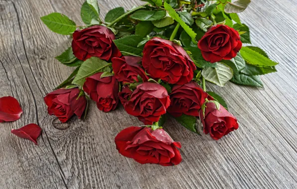 Picture red, table, roses, bouquet