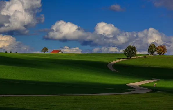 Road, roof, field, trees, house, hills