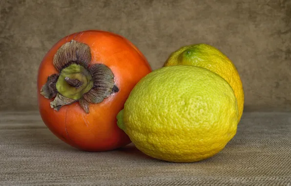 Picture macro, lemon, the fruit, persimmon