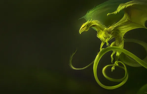 Nature, Dragon, Plant, Wings, Fantasy, Nature, Dragon, Art