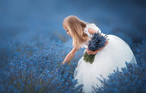 Picture flowers, mood, bouquet, dress, girl, lavender, bokeh
