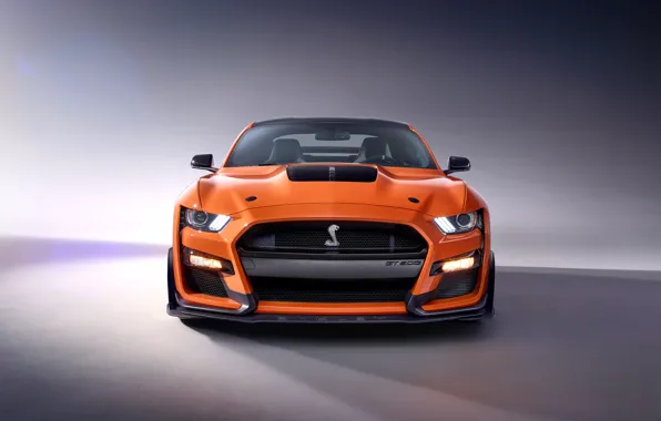 Mustang, Ford, Shelby, GT500, 2019